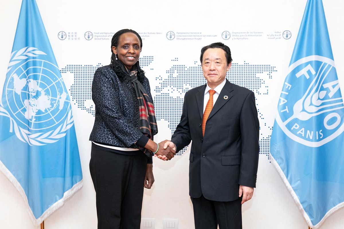 FAO Director-General Qu Dongyu meeting with Ms Agnes Kalibata