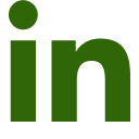 LinkedIn icon