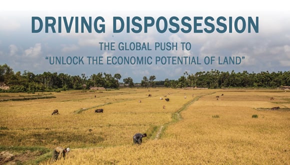 Maungdaw, Myanmar - Farm laborers and livestocks are seen in a paddy field.