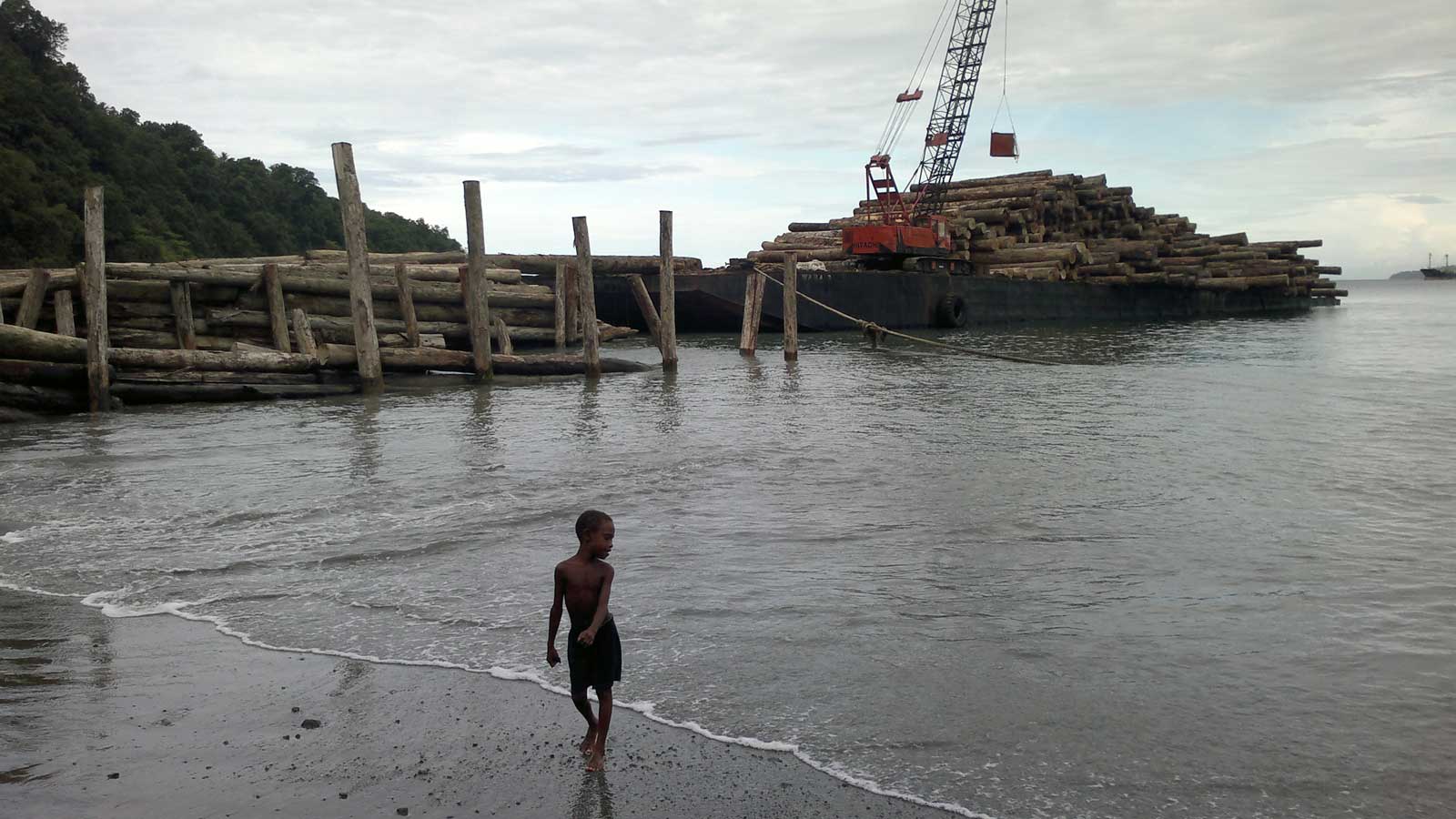 Logging pond in Turubu Bay, East Sepik. Credit: The Oakland Institute
