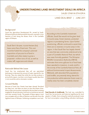 Report cover