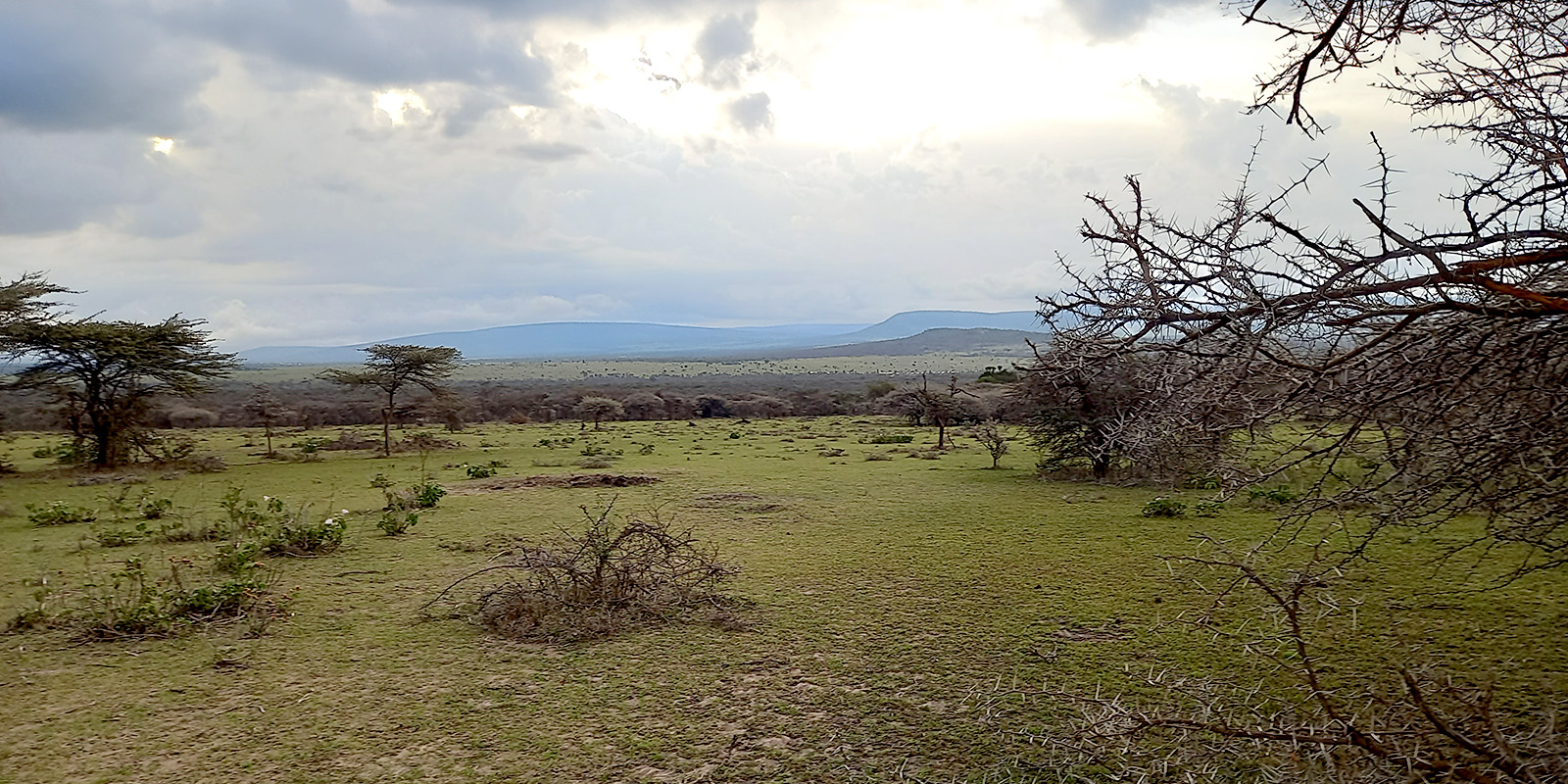 Photo of the Sukenya farm