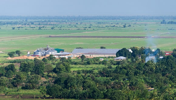 KPL plant and fields. @copy; Greenpeace