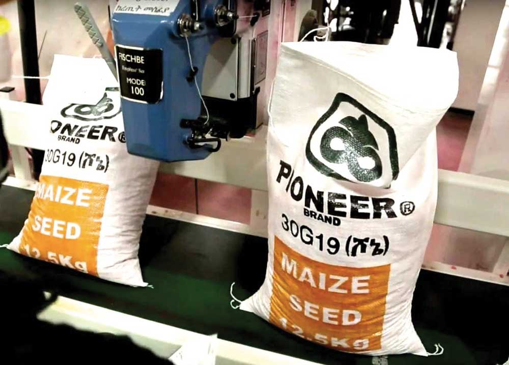 Dupont maize seed in Ethiopia. Copyright: New Alliance for Food Security and Nutrition Dupont maize seed in Ethiopia. Copyright: New Alliance for Food Security and Nutrition