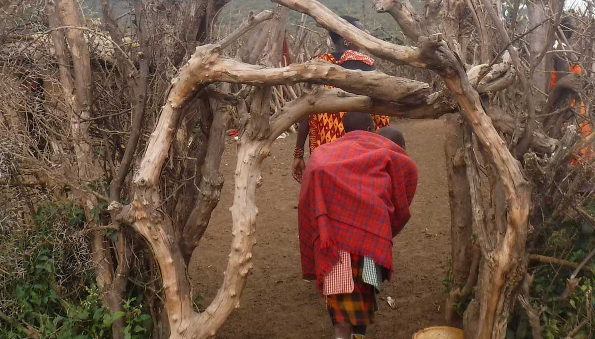 Entrance to a new boma built by the displaced Maasai. Credit: The Oakland Institute