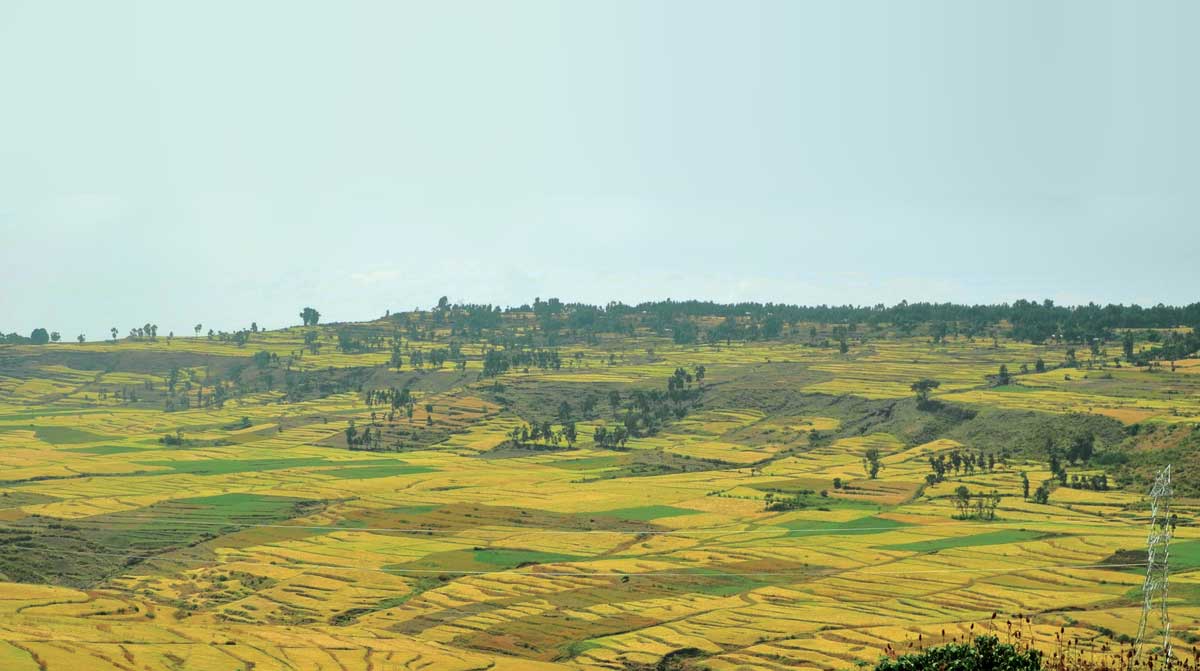 Highland scene in Amhara, Ethiopia. Copyright: The Oakland Institute Highland scene in Amhara, Ethiopia.