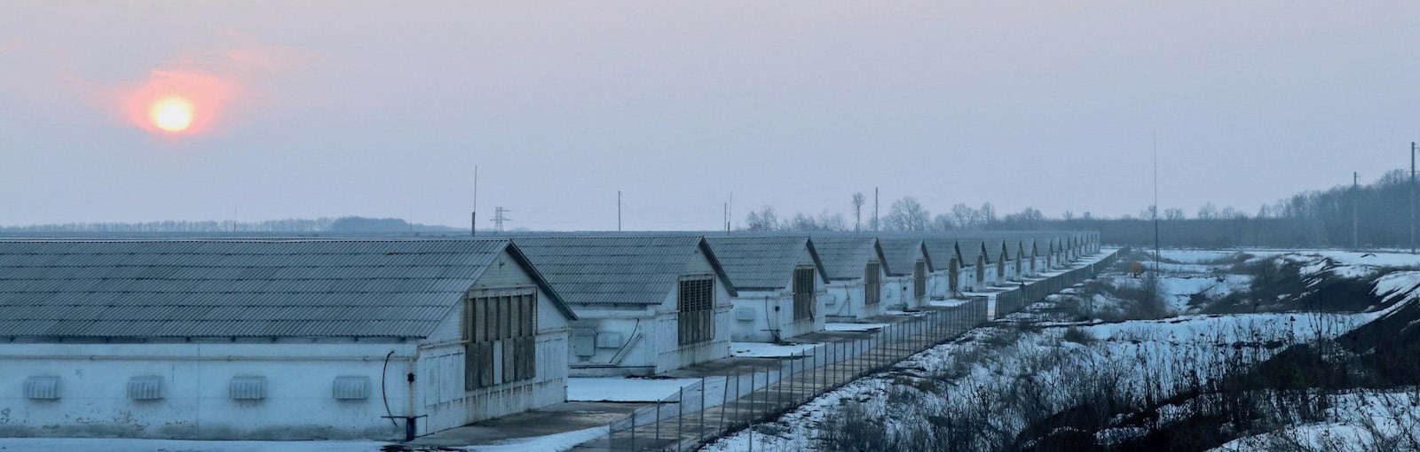 MHP poultry farm in Ukraine MHP poultry farm in Ukraine