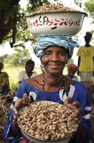 Agroforestry to Improve Farm Productivity in Mali
