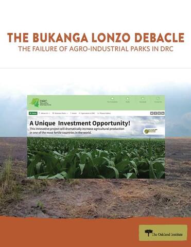 Report cover of The Bukanga Lonzo Debacle