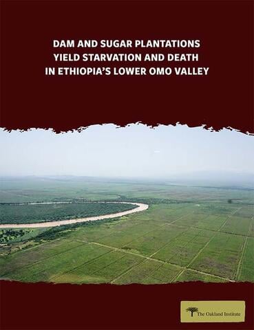 Report cover