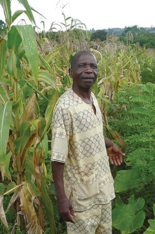 Agroforestry for Food Security