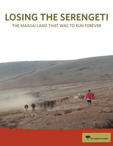 Publication cover photo