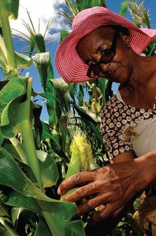The Machobane Farming System in Lesotho