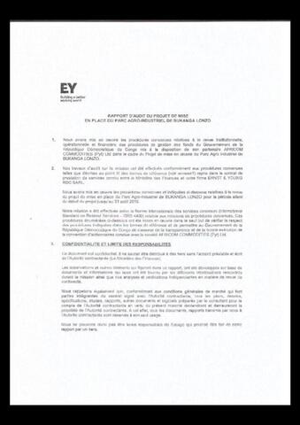  Ernest & Young Bukanga Lonzo Audit (2.8 MB)