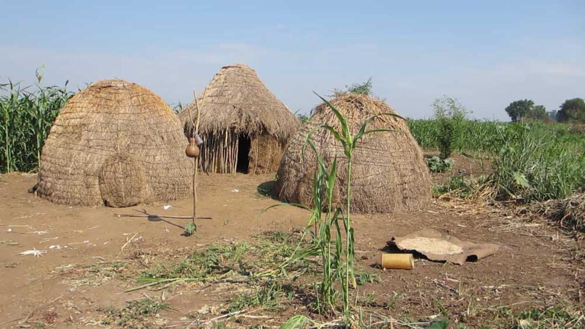 Bodi homestead near the Omo River, January 2012 © Will Hurd / The Oakland Institute
