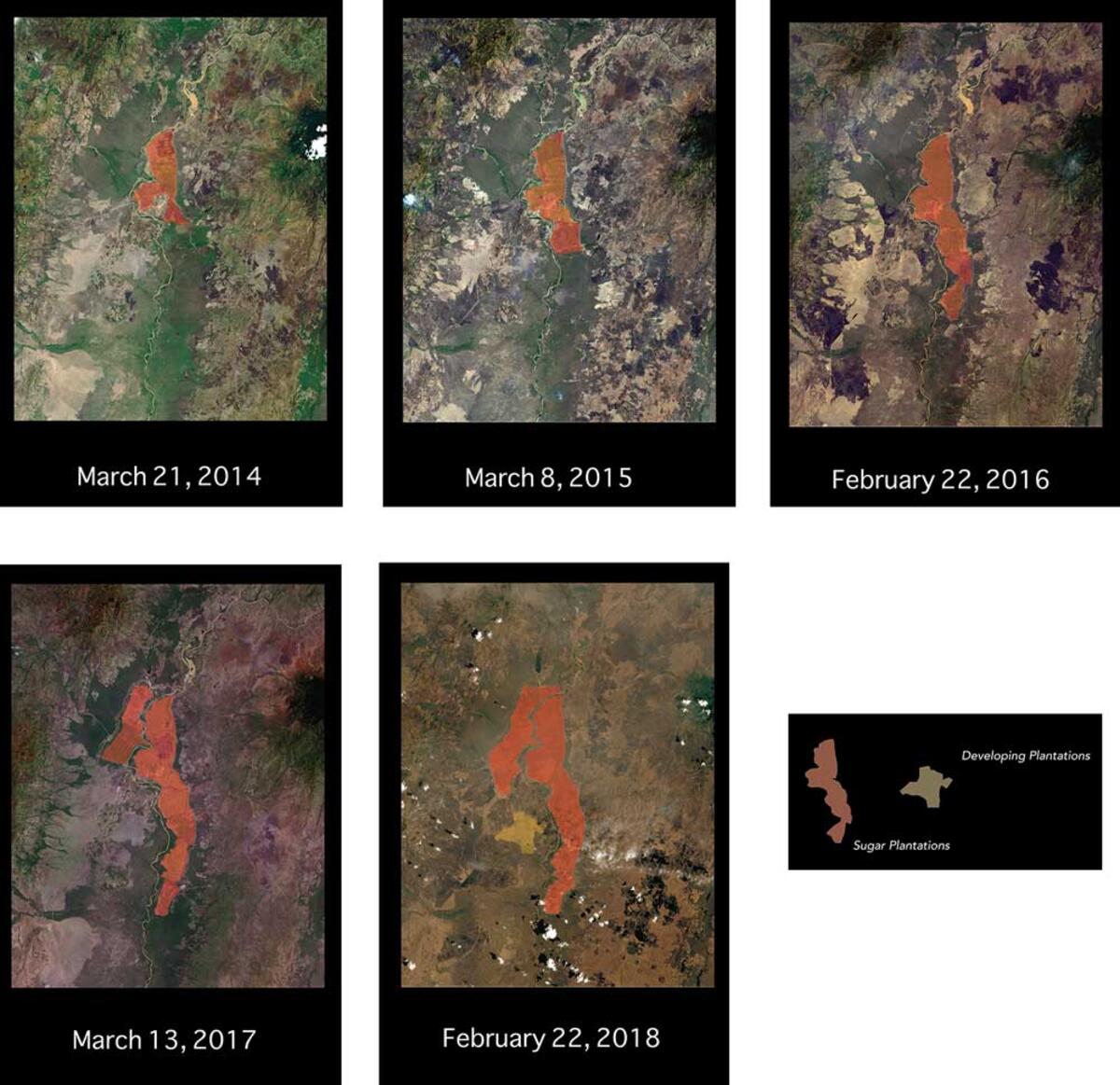 The expansion of sugar plantations in Lower Omo © Massimo Lambert-Mullen / Oakland Institute