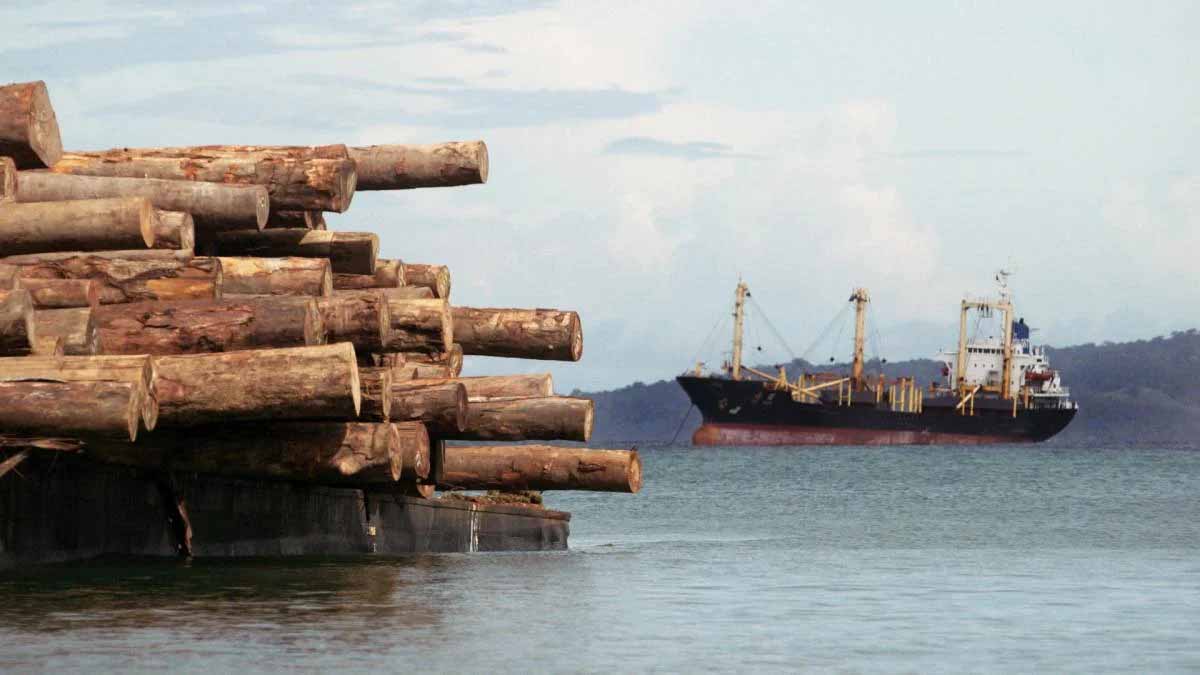 A stack of logs in the foreground, a ship lies in anchor beyond.