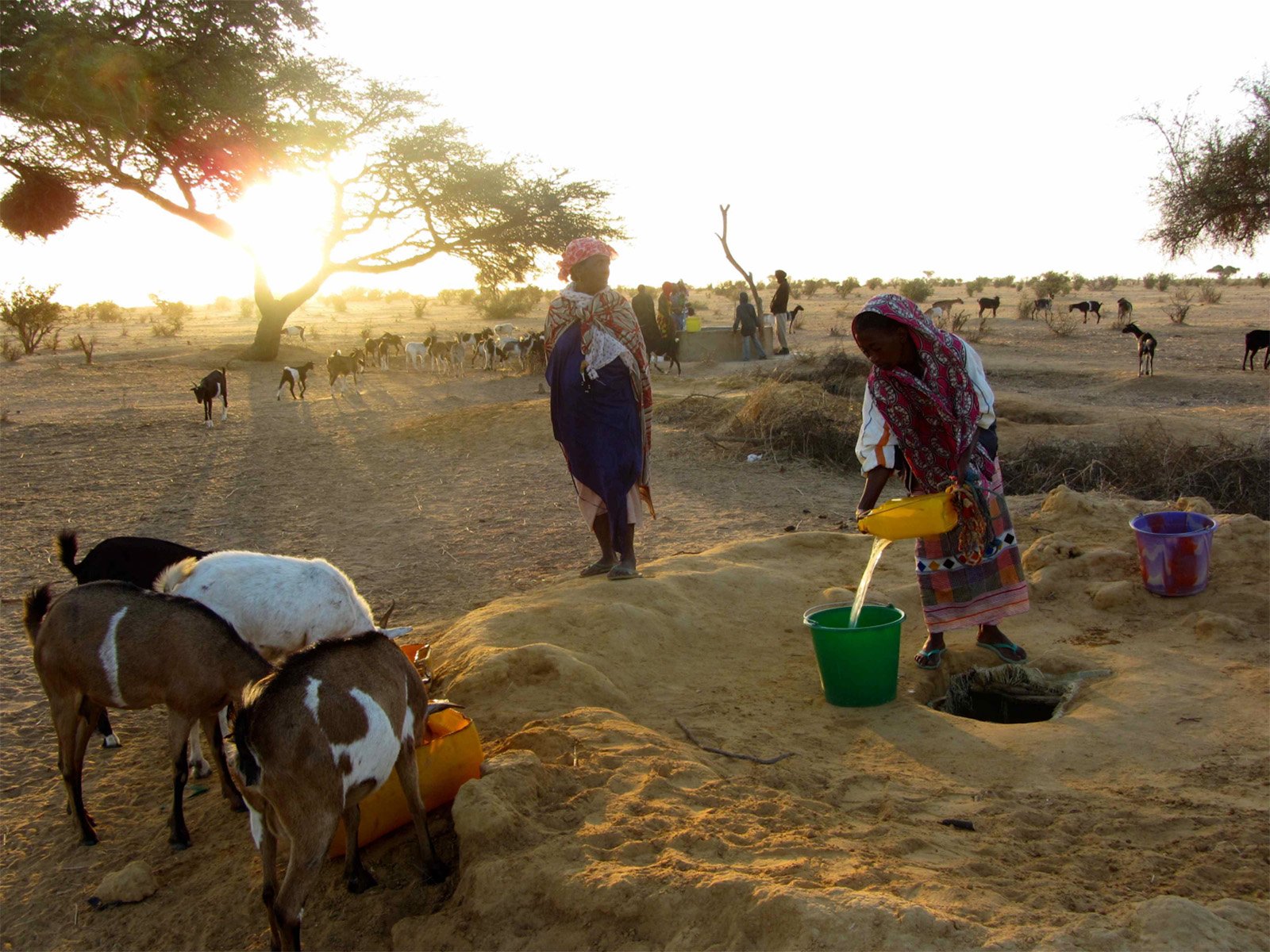 Femmes collectant de l’eau à Ndiaël, Sénégal © Enda Pronat Femmes collectant de l’eau à Ndiaël, Sénégal © Enda Pronat