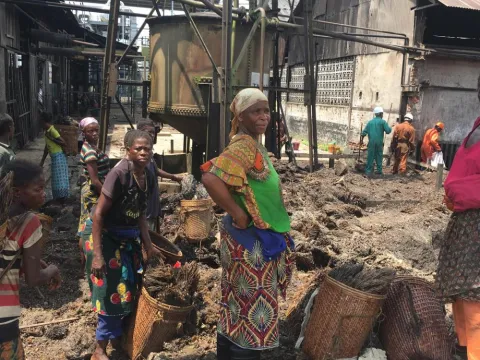 Women workers collecting palm fruit waste