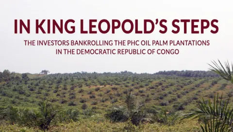 Recently planted oil palm plantation near Lokumete in February 2020