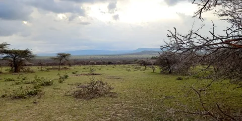 Sukenya Farm