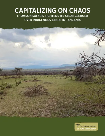 Publication cover thumbnail