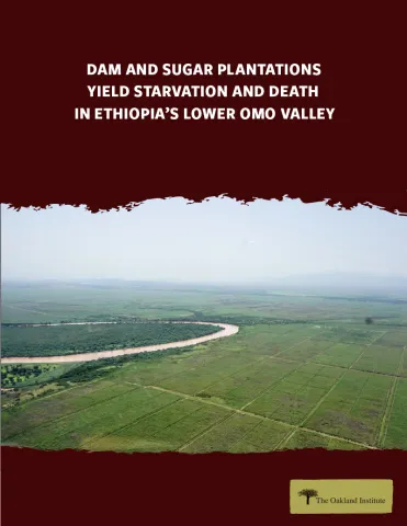 Publication cover thumbnail