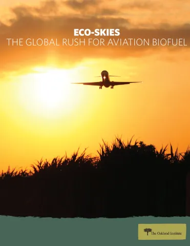 Publication cover thumbnail