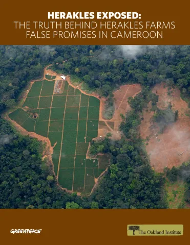 Publication cover thumbnail