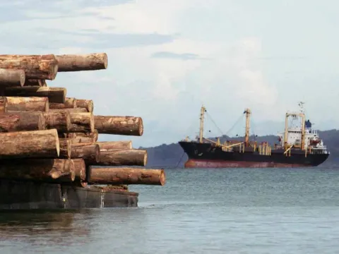 A ship waiting to load logs in Turubu Bay, East Sepika. &copy; The Oakland Institute
