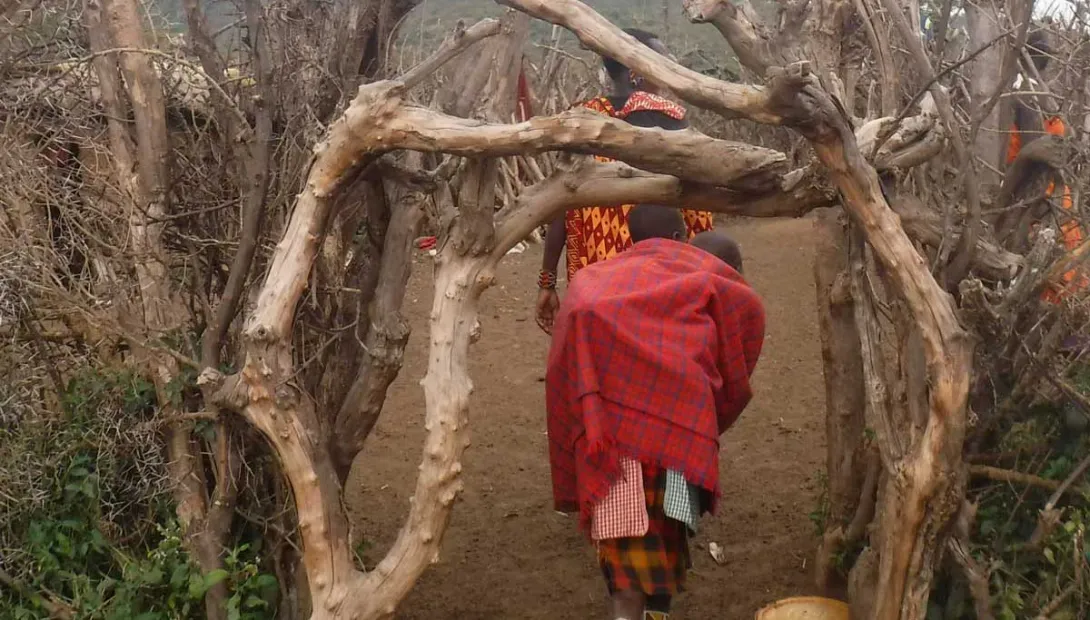 Entrance to a new boma built by the displaced Maasai. Credit: The Oakland Institute