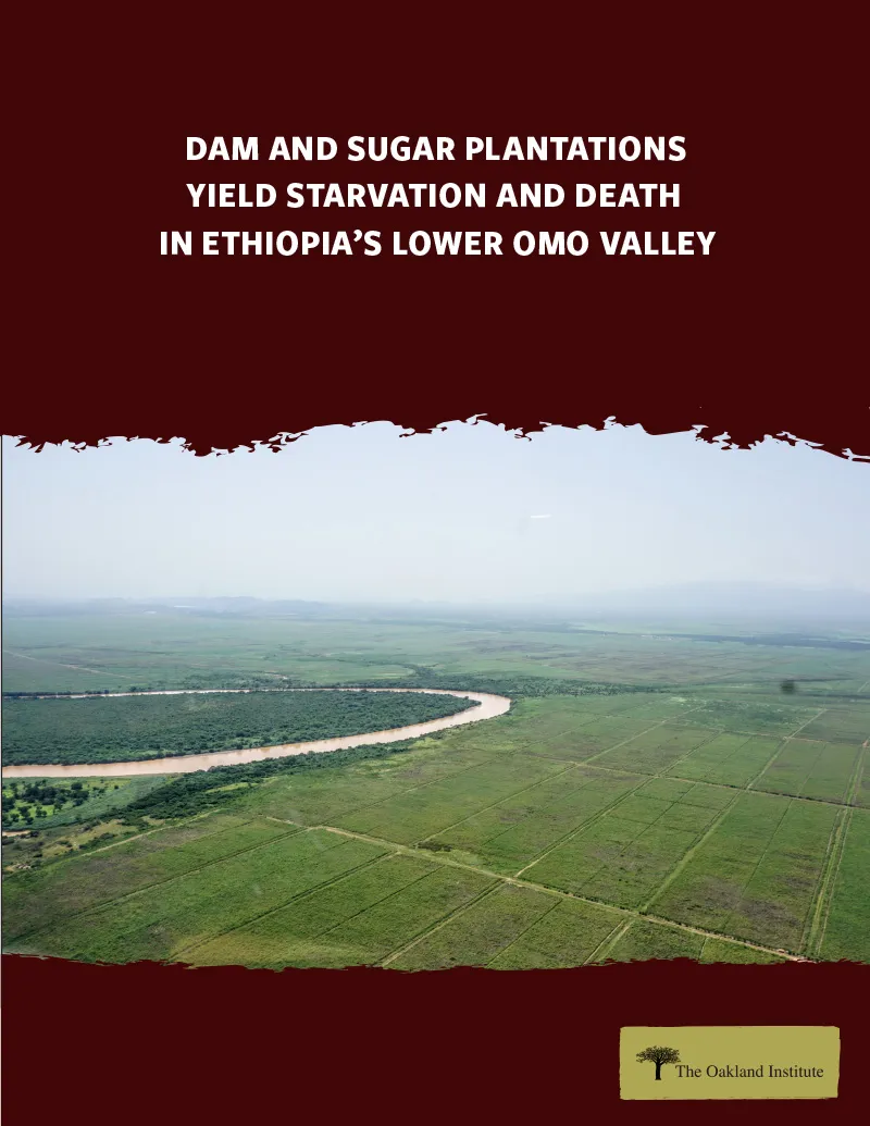 Publication cover thumbnail