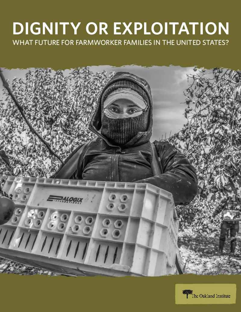 Publication cover thumbnail