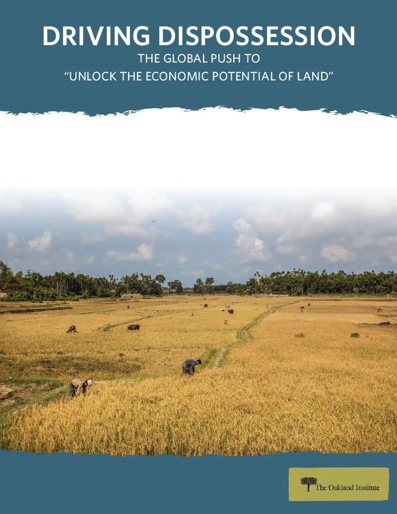 Publication cover thumbnail