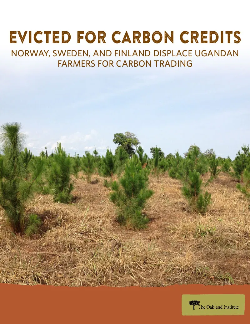 Publication cover thumbnail