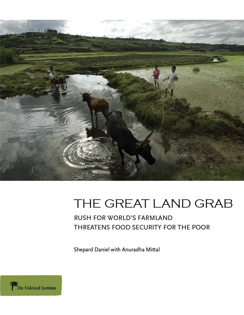 Publication cover thumbnail