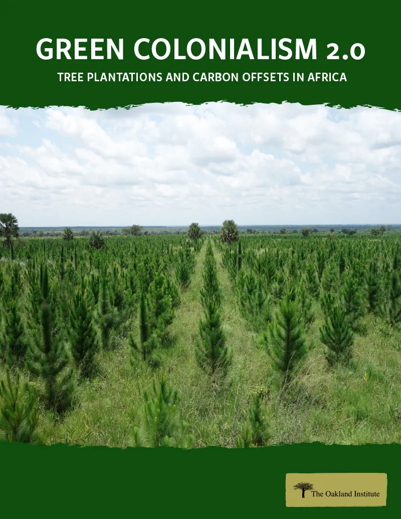 Publication cover thumbnail