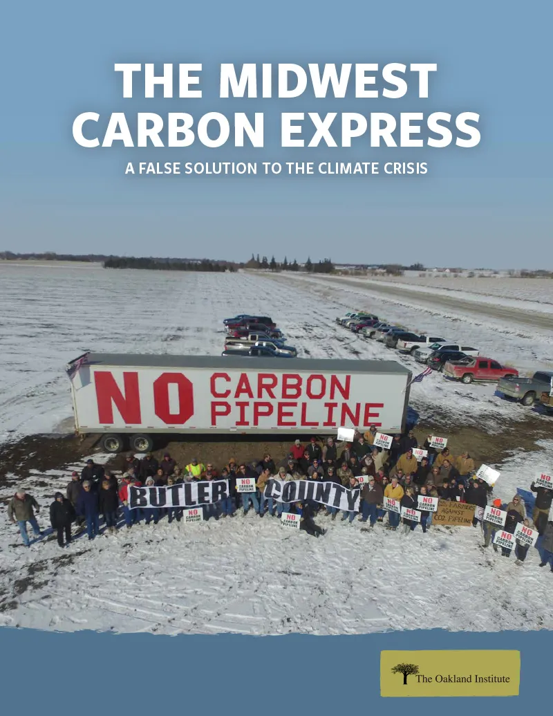Publication cover thumbnail