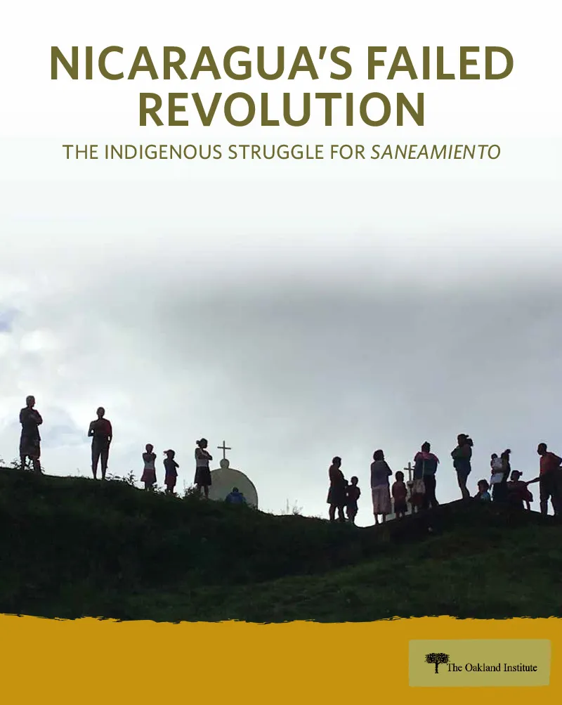 Publication cover thumbnail