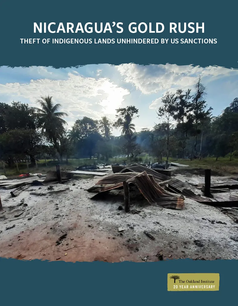 Publication cover thumbnail