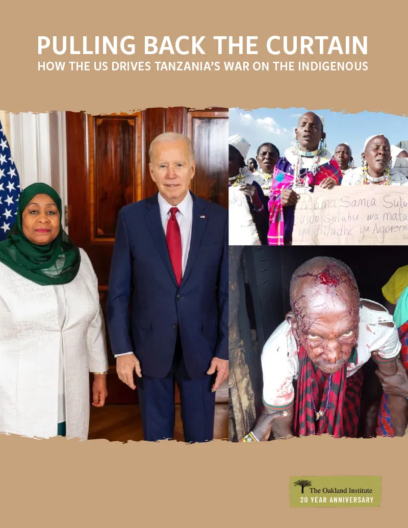 Publication cover thumbnail