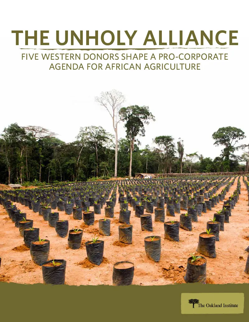Publication cover thumbnail