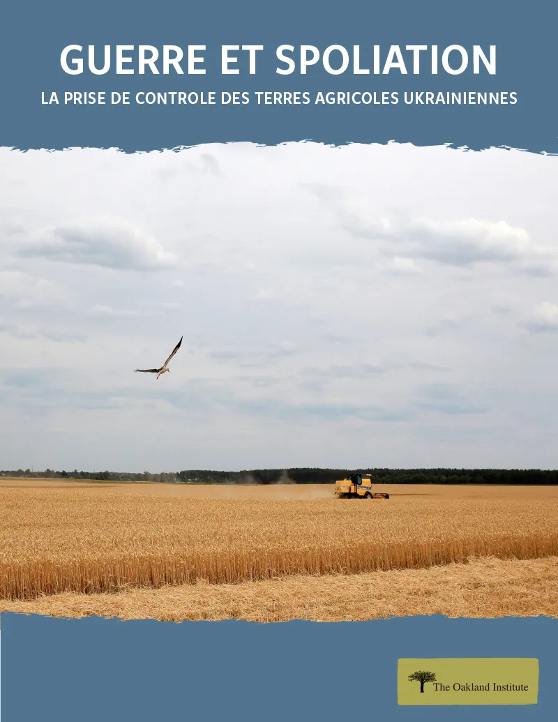 Publication cover thumbnail