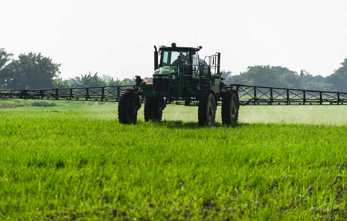 Crop spraying on the Agrica rice plantation. Credit: Greenpeace. Crop spraying on the Agrica rice plantation. Credit: Greenpeace.