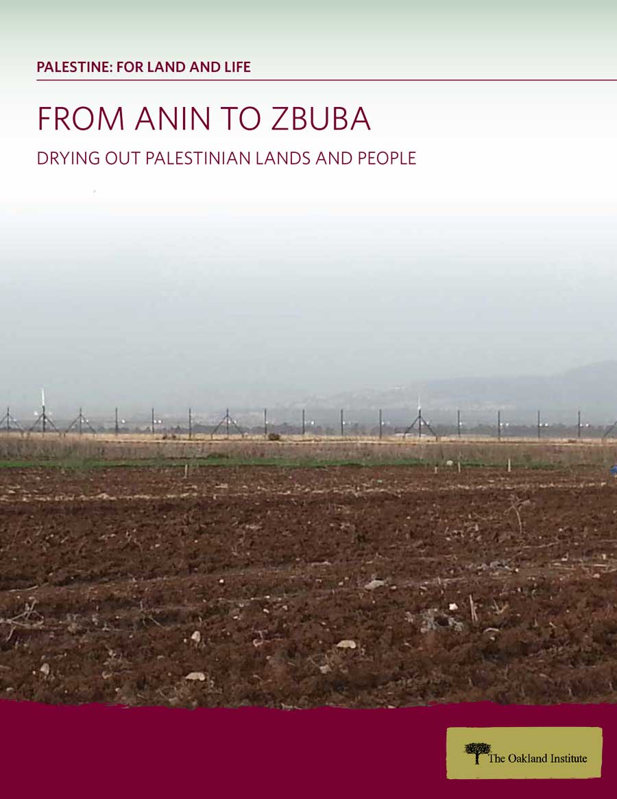 From Anin to Zbuba Report Cover