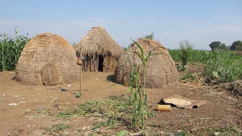 Bodi homestead near the Omo River, January 2012 © Will Hurd / The Oakland Institute