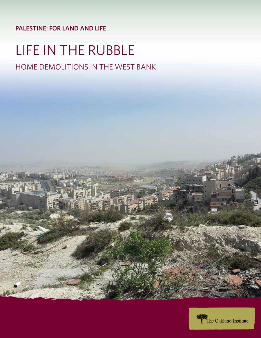 Life in the Rubble Cover