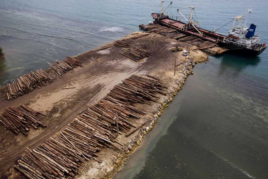 Raw logs ready for loading on a cargo ship bound for China. Local Pomio landowners are protesting against the biggest land grab in PNG history. Under a lease system called SABLs (special agricultural and business leases) forests are being destroyed and customary land is being stolen. Credit: Paul Hilton / Greenpeace Raw logs ready for loading on a cargo ship bound for China. Local Pomio landowners are protesting against the biggest land grab in PNG history. Under a lease system called SABLs (special agricultural and business leases) forests are being destroyed and customary land is being stolen. Credit: Paul Hilton / Greenpeace