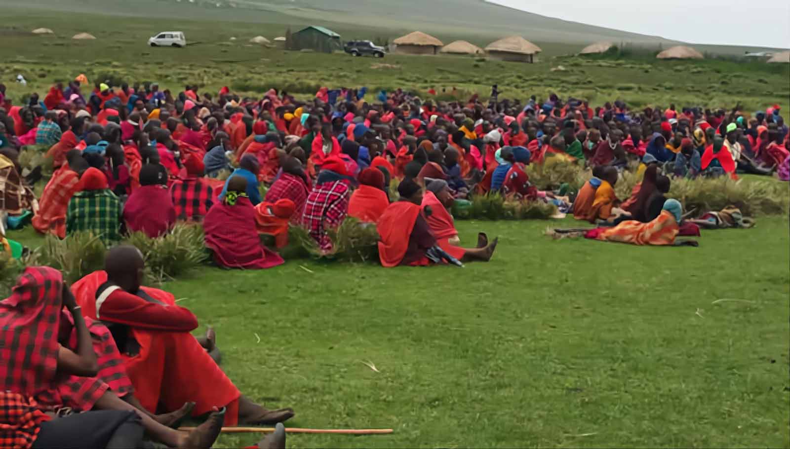 A crowd of over 700 Maasai in red robes seated on a green plain