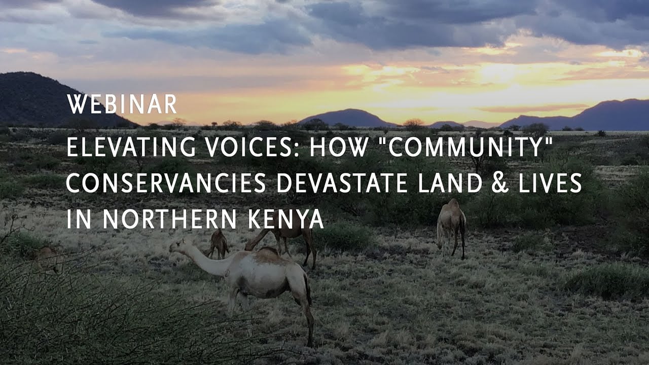 How "Community" Conservancies Devastate Land & Lives in Northern Kenya